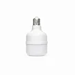 Poultry Light AGR